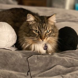 Meet your Posher, Katy